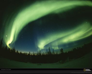 Life in Color: Green – Nature's Vital Hue