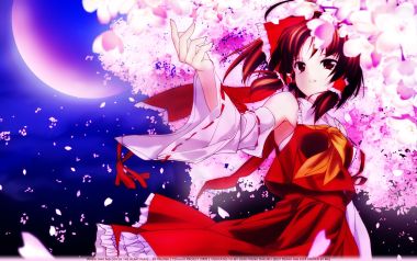 Touhou Reimu Sakura Night