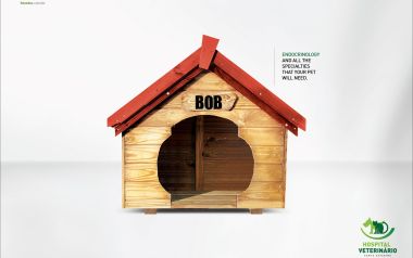 Hovetsc Veterinary Hospital Dog House Bob
