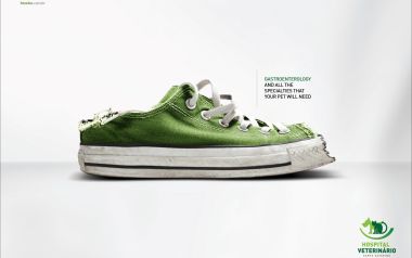 Brazil Hovetsc Veterinary Ad Green Shoe