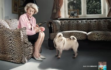 German Ad Elderly Woman Pug Dog