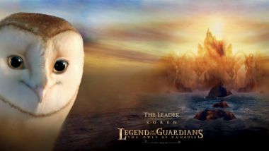 Soren From Legend Of The Guardians Coastal Sunset Poster
