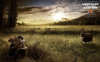 English Countryside Dog Advertisement