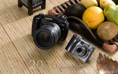 Olympus E 330 And SP 300 Cameras