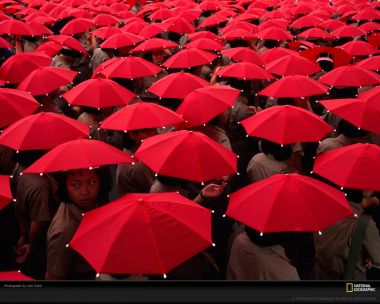 Red Umbrellas Crowd Event