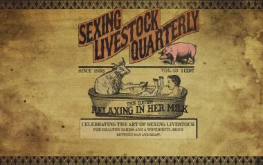 Red Dead Redemption Sexing Livestock Quarterly