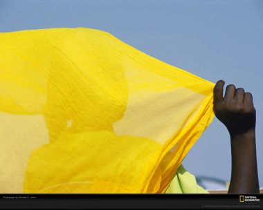 Michael S Lewis Yellow Fabric Hand